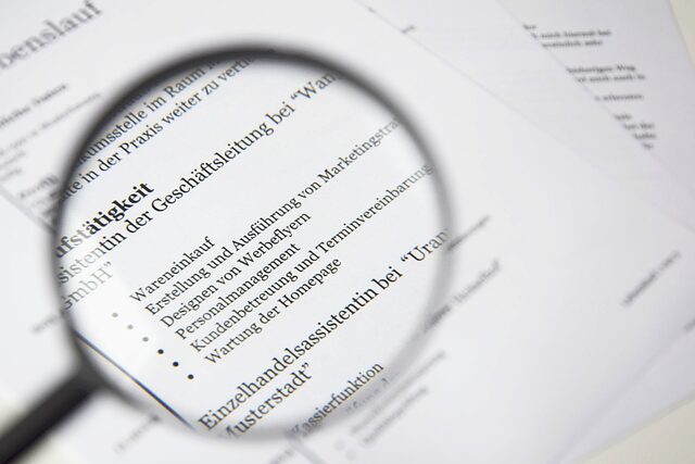 Professional CV