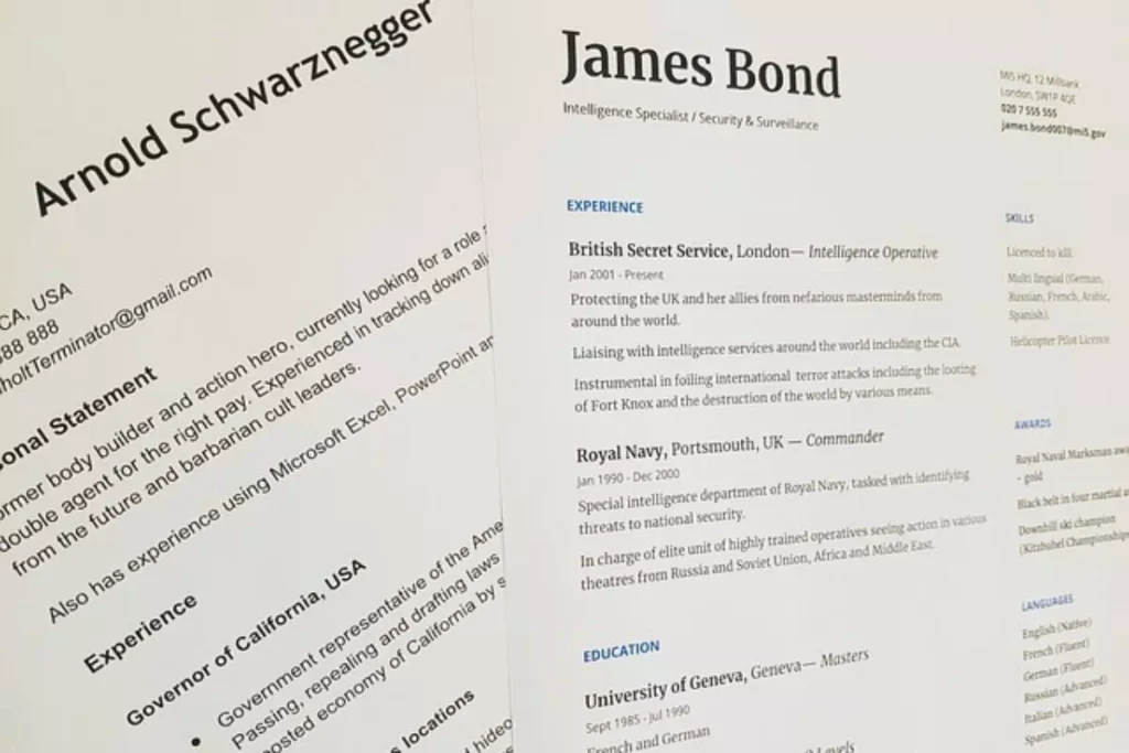 resume writing services