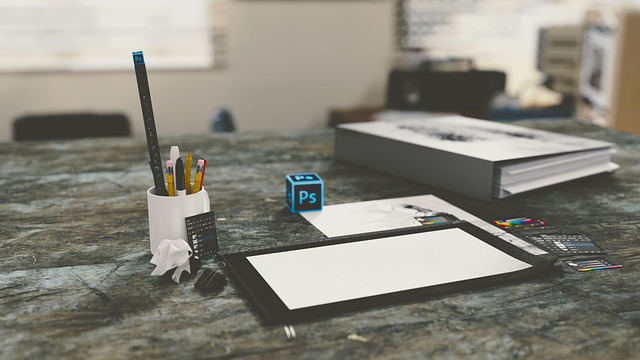 professional resume Consultant